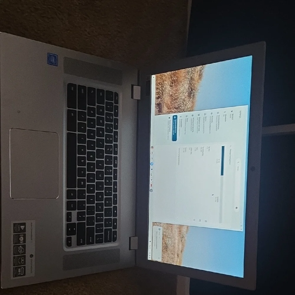 Acer Sleek Gray Laptop